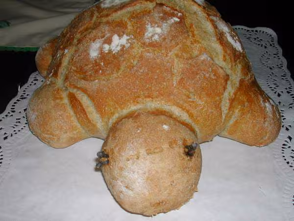 Tortue