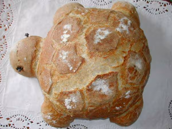 Tortue