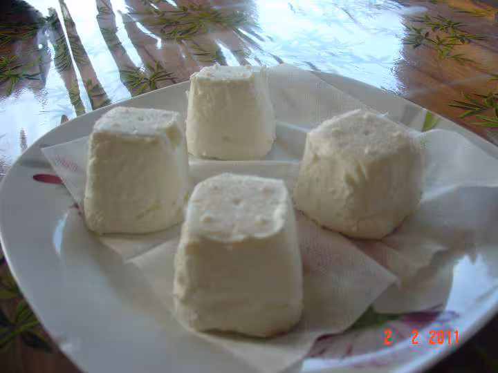 Petits chevres