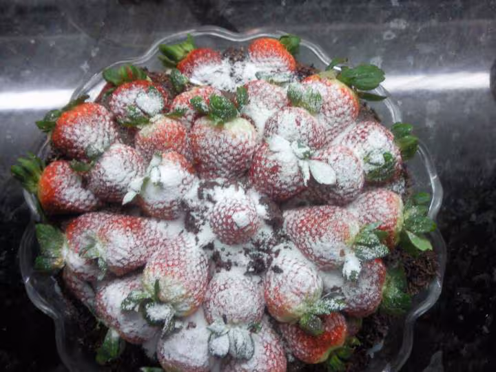 St valentine au fraise