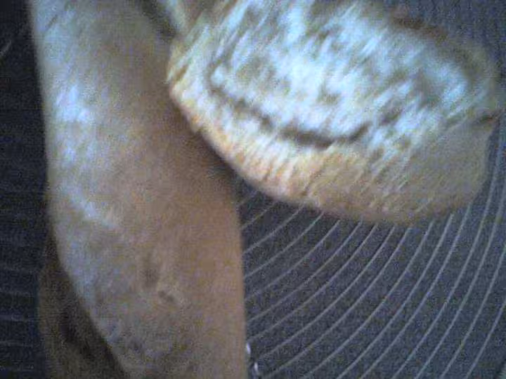 Baguettes 1er essai
