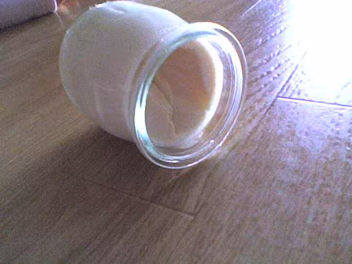 Yaourt au lait de soja