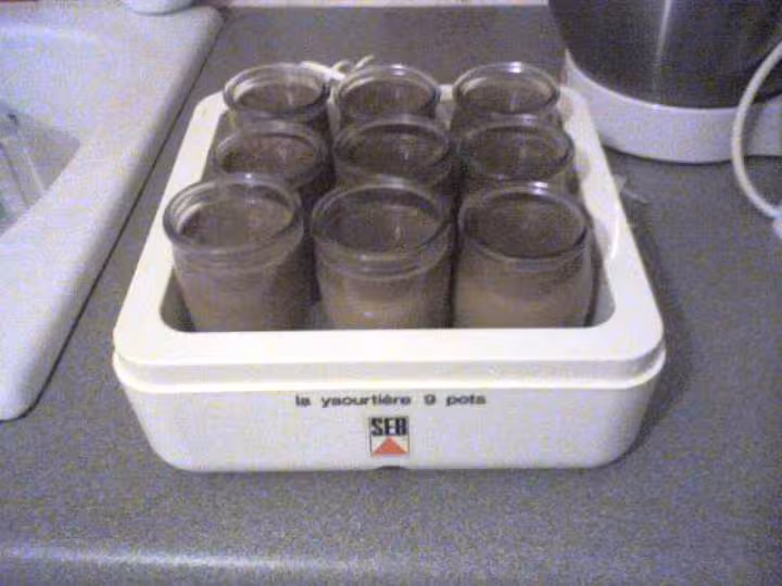 Yaourts au chocolat yaourtiere seb9 pots