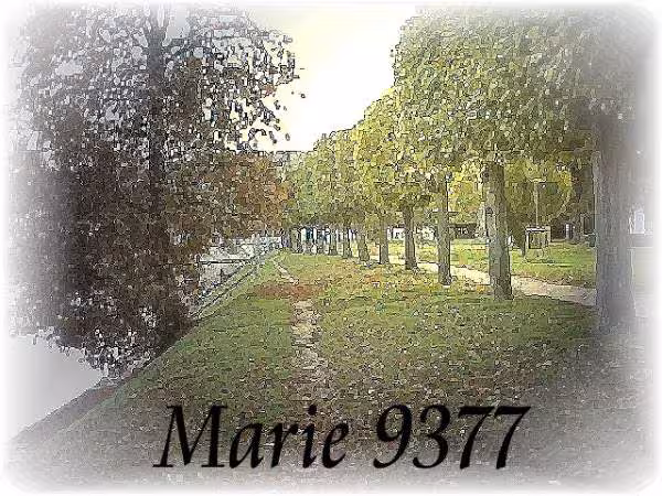 Arbres bord marne marie9377