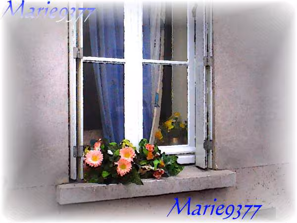 Fenetre marie9377 sign