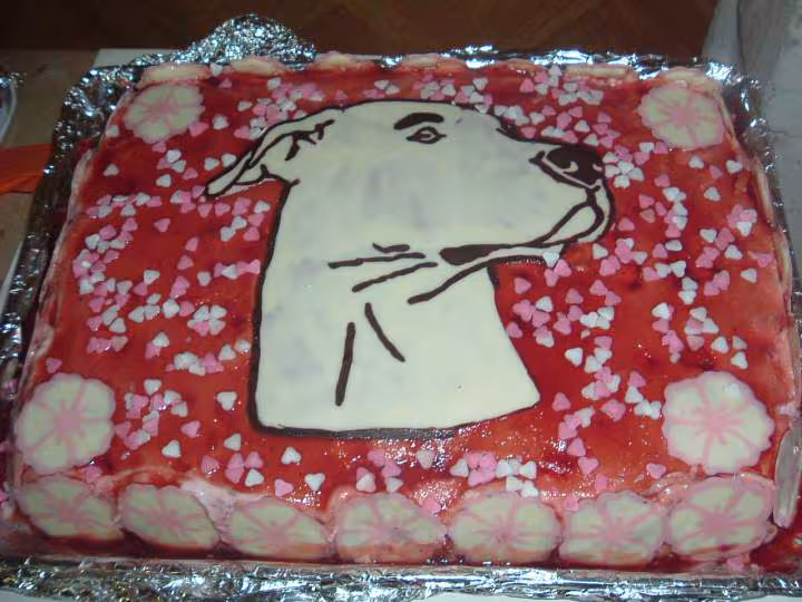Gateau anniv