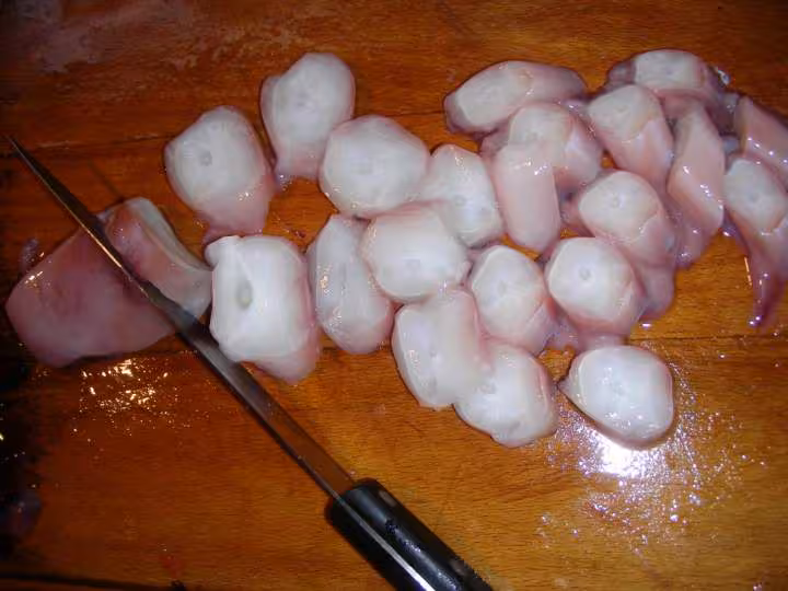Calamar