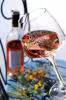 Rose de provence