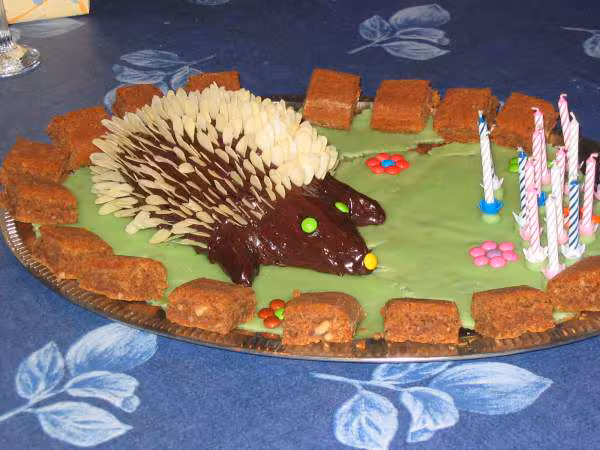 Herisson mignon