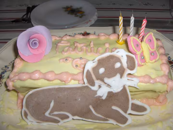 Gateau patricia