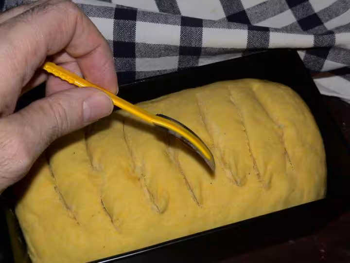 Brioche mais 10
