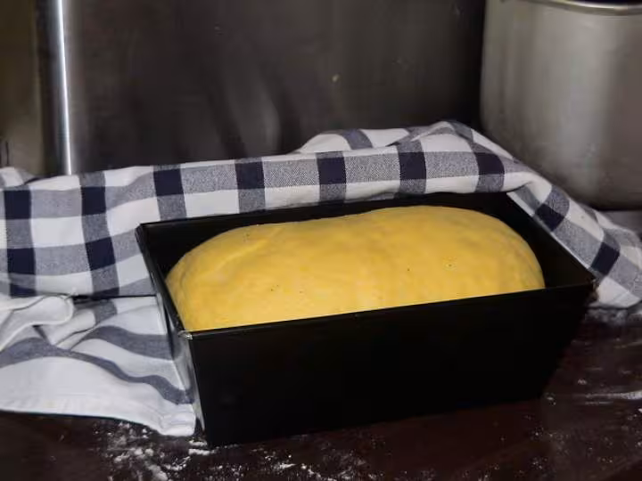 Brioche mais 9
