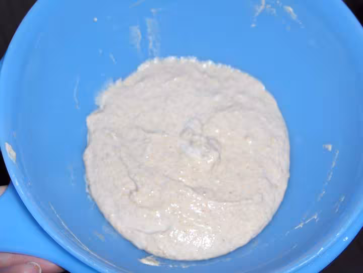 Levain naturel jour8