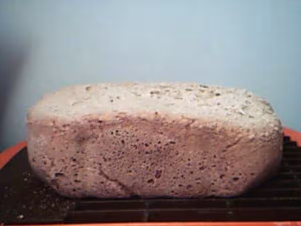 Pain au sarazin