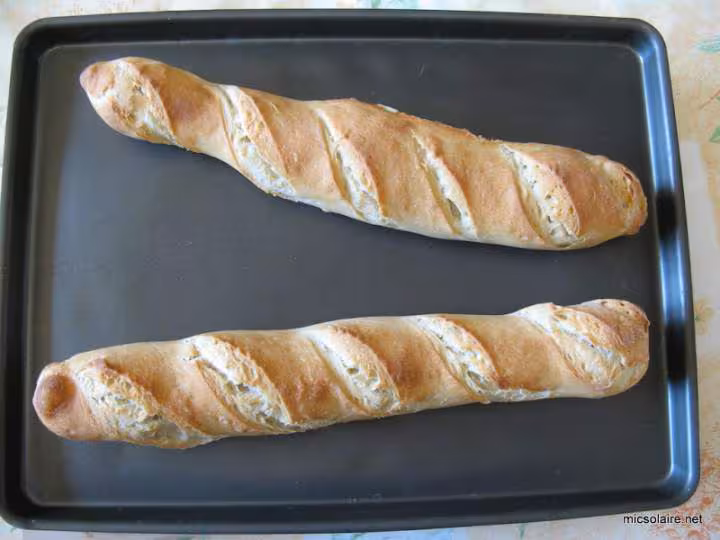 Baguette t65
