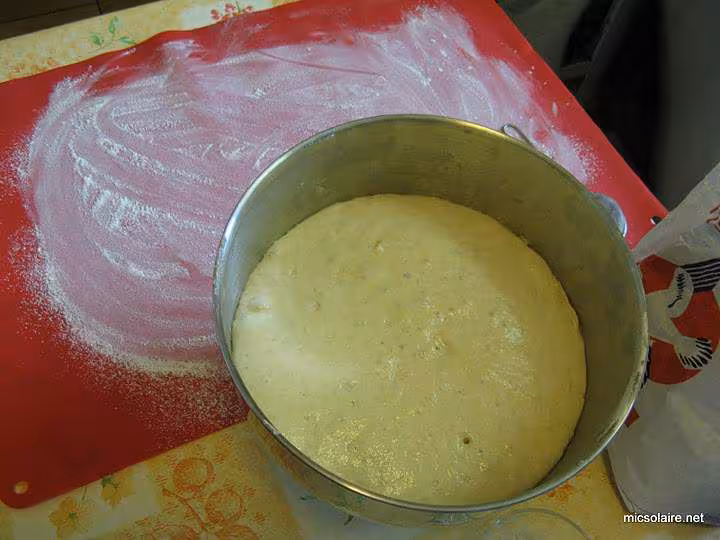Baguette t65 poolish