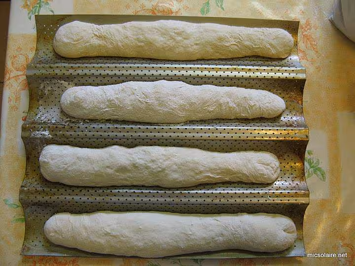 Baguette t65 poolish