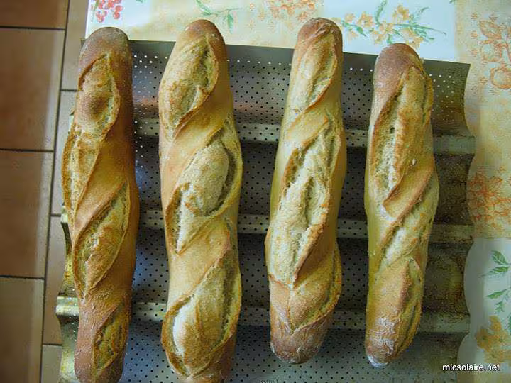 Baguette t65 poolish
