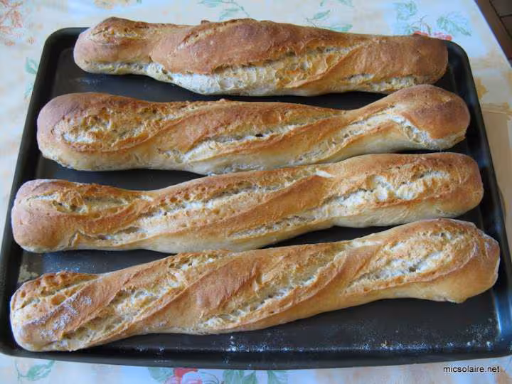 Baguettes monge