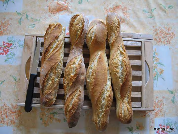 Baguettes poolish