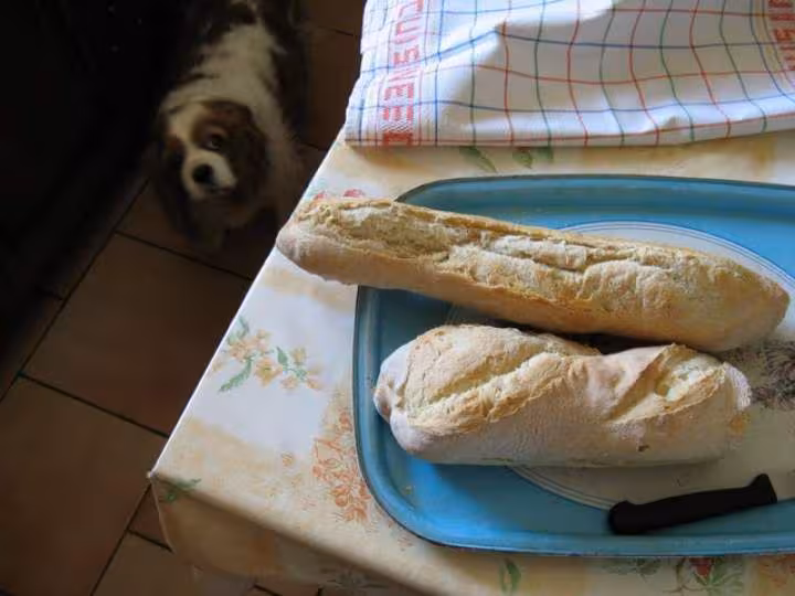 Baguettes sur autolyse