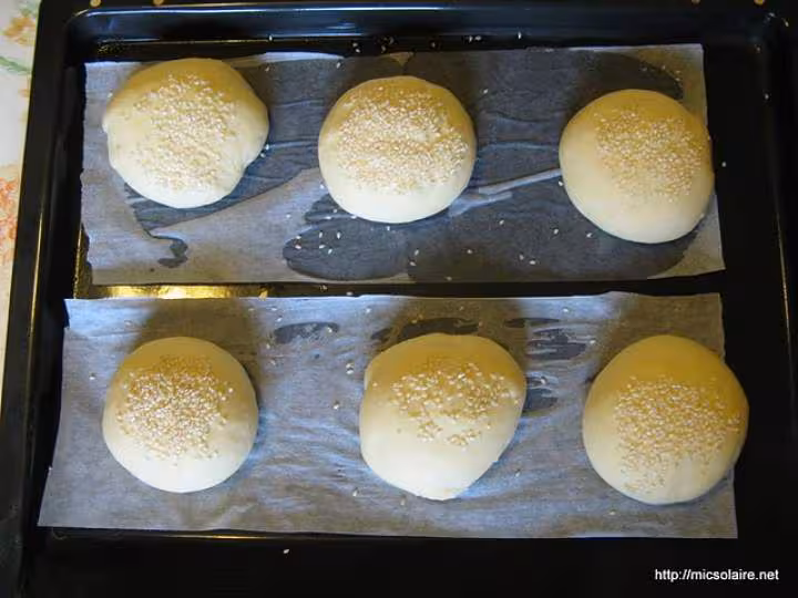 Hamburgers