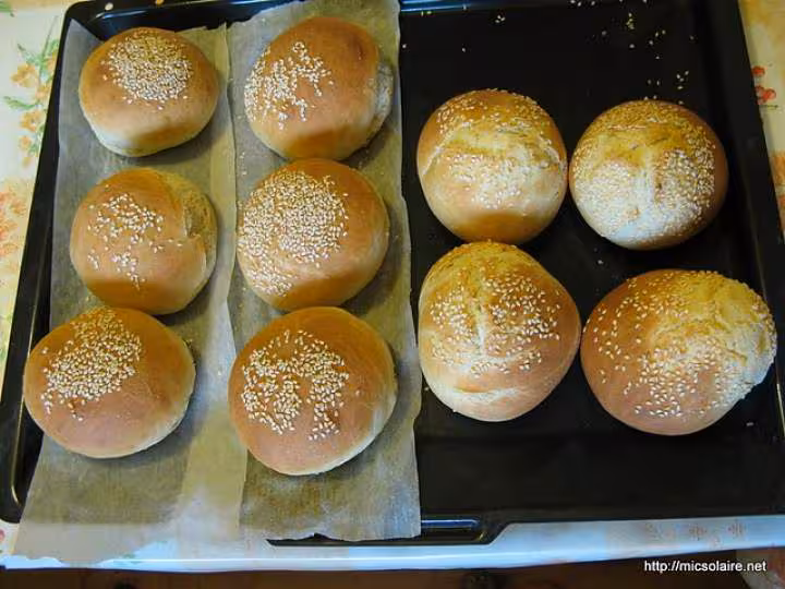 Hamburgers