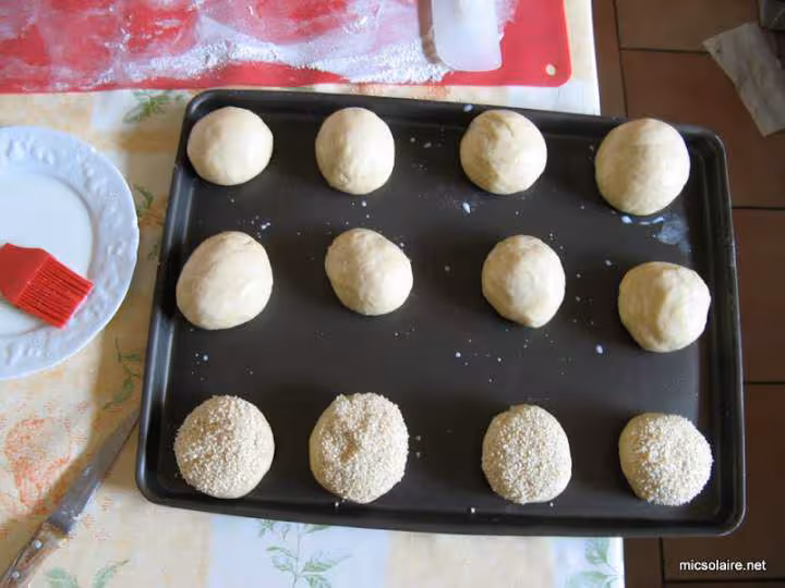 Macatia