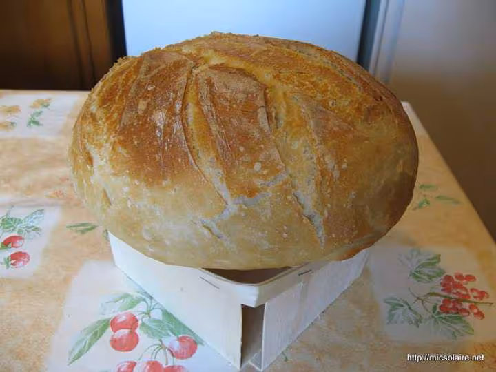 Miche froment t65 t55