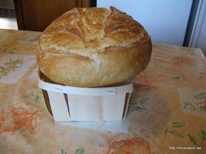 Miche froment t65 t55