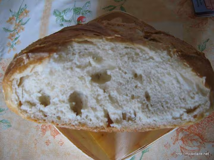 Miche froment t65 t55