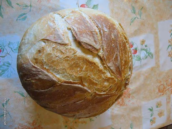 Miche fromet t65 t55