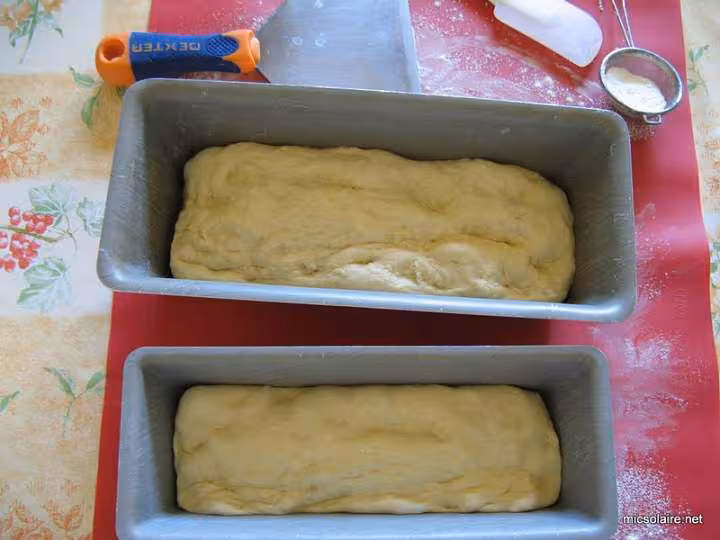Pain brioche