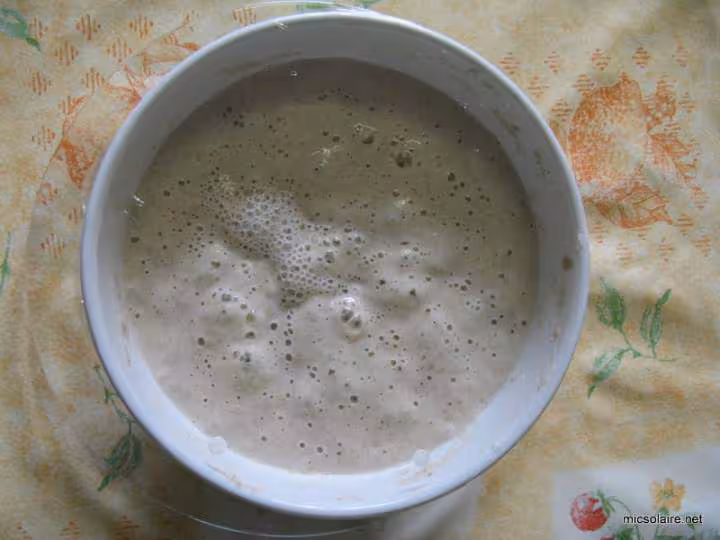 Pain de mie levain