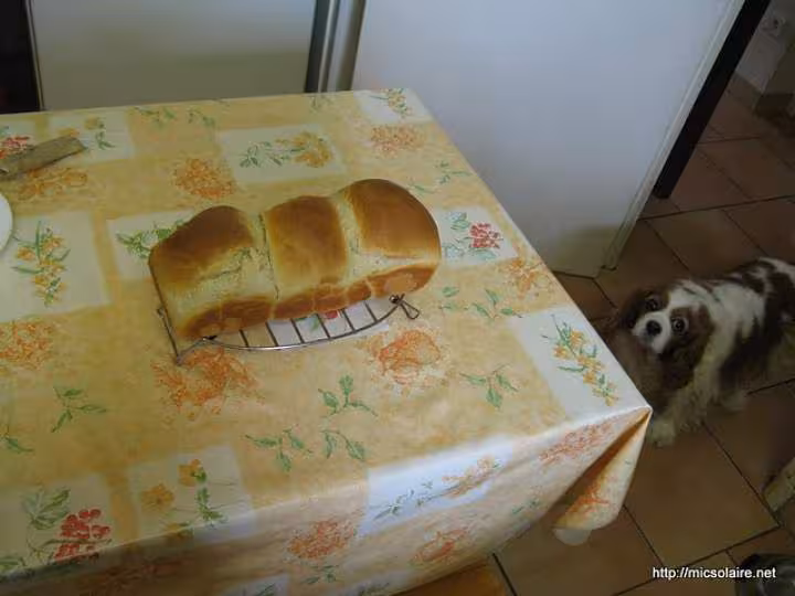 Pain de mie sur poolish