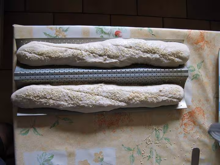 Pain levain t55 t65