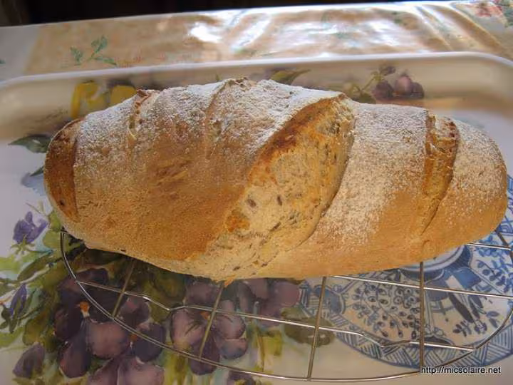 Pain multi et t65