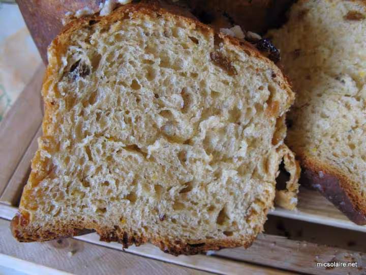 Panetonne