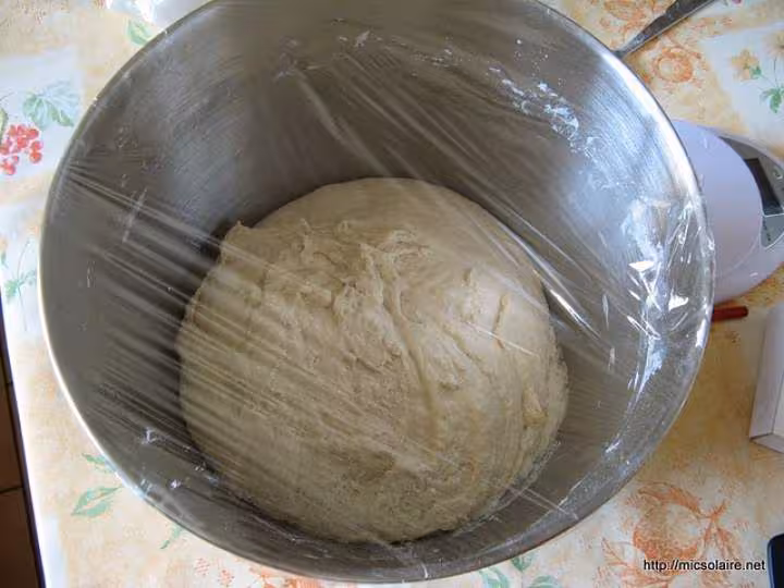 Paton de 1 900kg