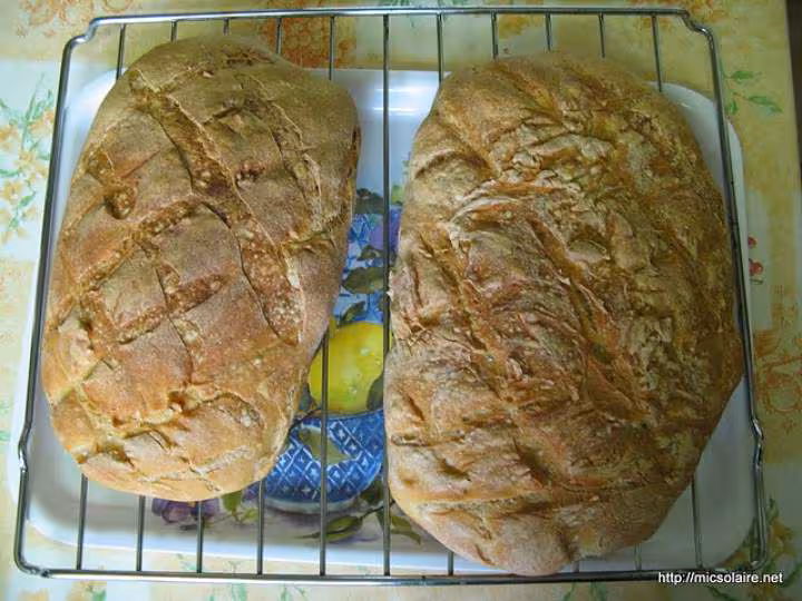 Paton de 1 900kg
