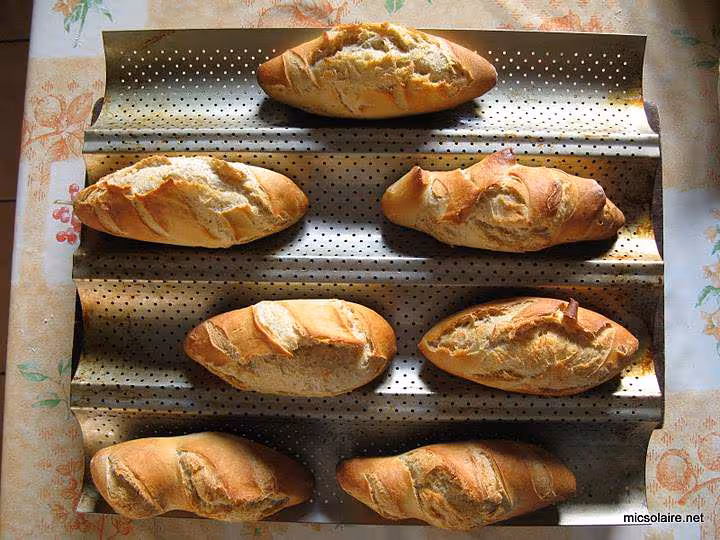 Petits pains t65