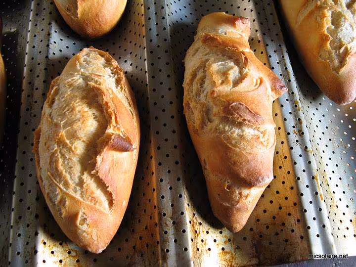 Petits pains t65