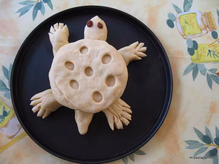 Tortue