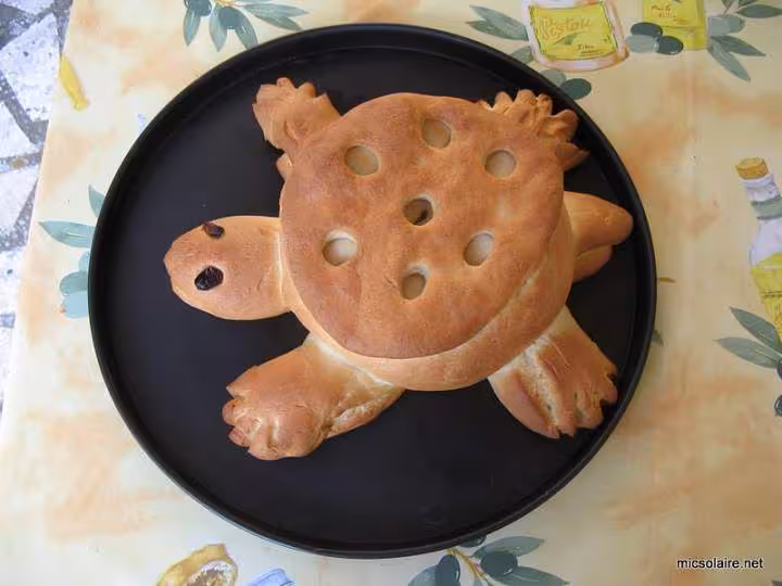 Tortue