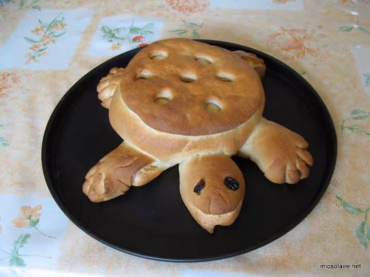 Tortue