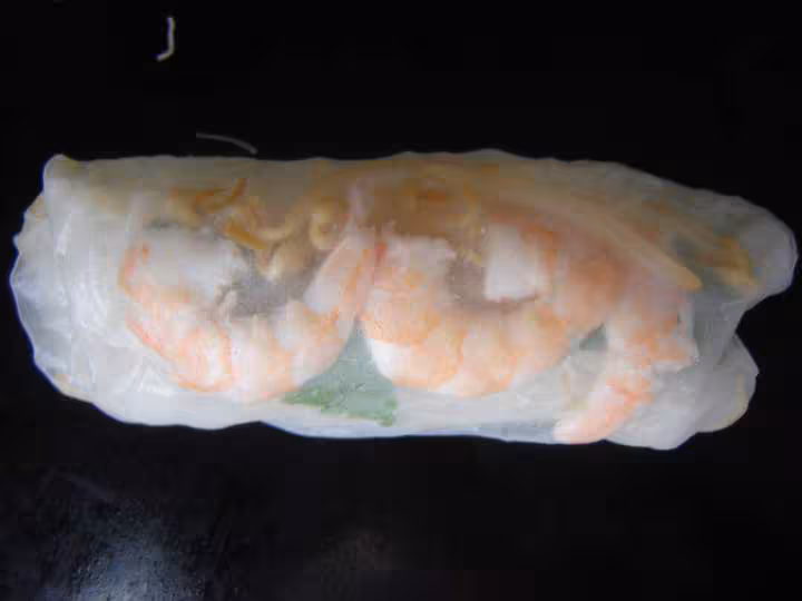 Rouleaux de printemps
