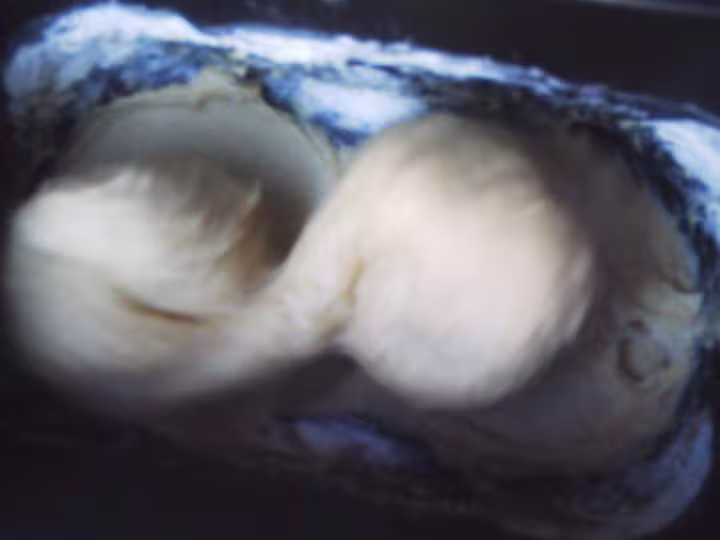 Brioche mouelleusse