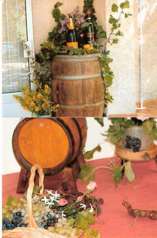 Theme des vendanges 2