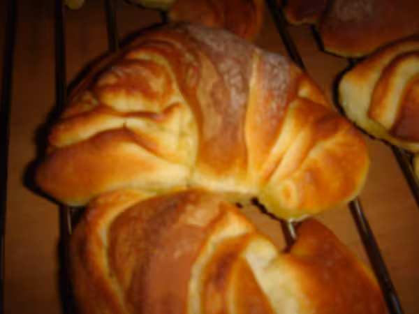 1er croissants reussis