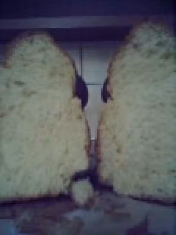 Brioche de flore en map